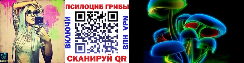 купить наркотик  Подпорожье  Псилоцибиновые грибы Psilocybe 